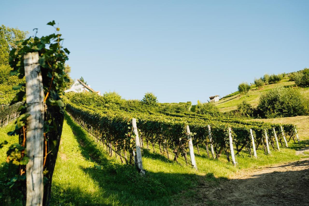 Winzerhof Strablegg Villa Großklein Eksteriør billede
